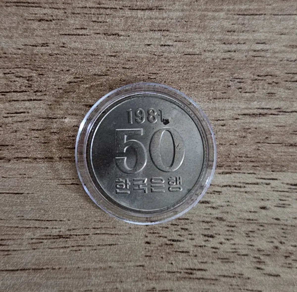 1981년 50원 동전.주화