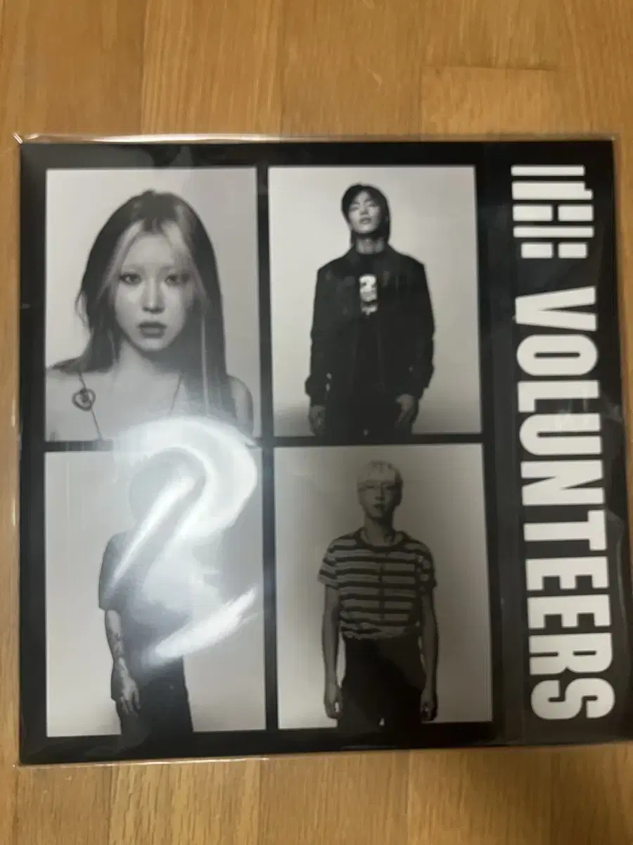 The volunteers lp