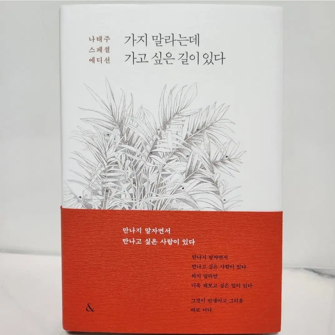 (정가25,000원)책 나태주 스페셜 (가지말라는데 가고 싶은 길이 있다