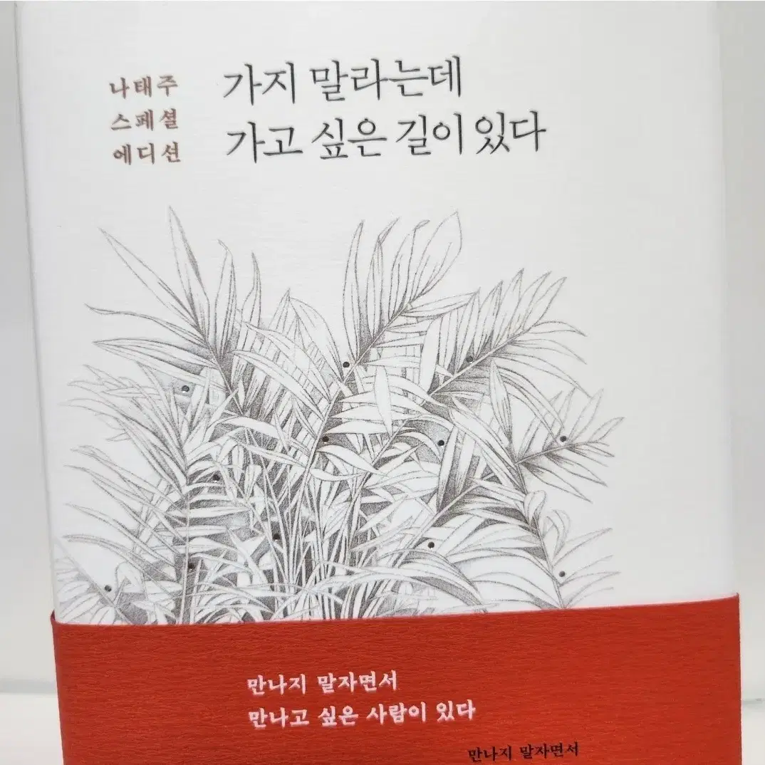 (정가25,000원)책 나태주 스페셜 (가지말라는데 가고 싶은 길이 있다