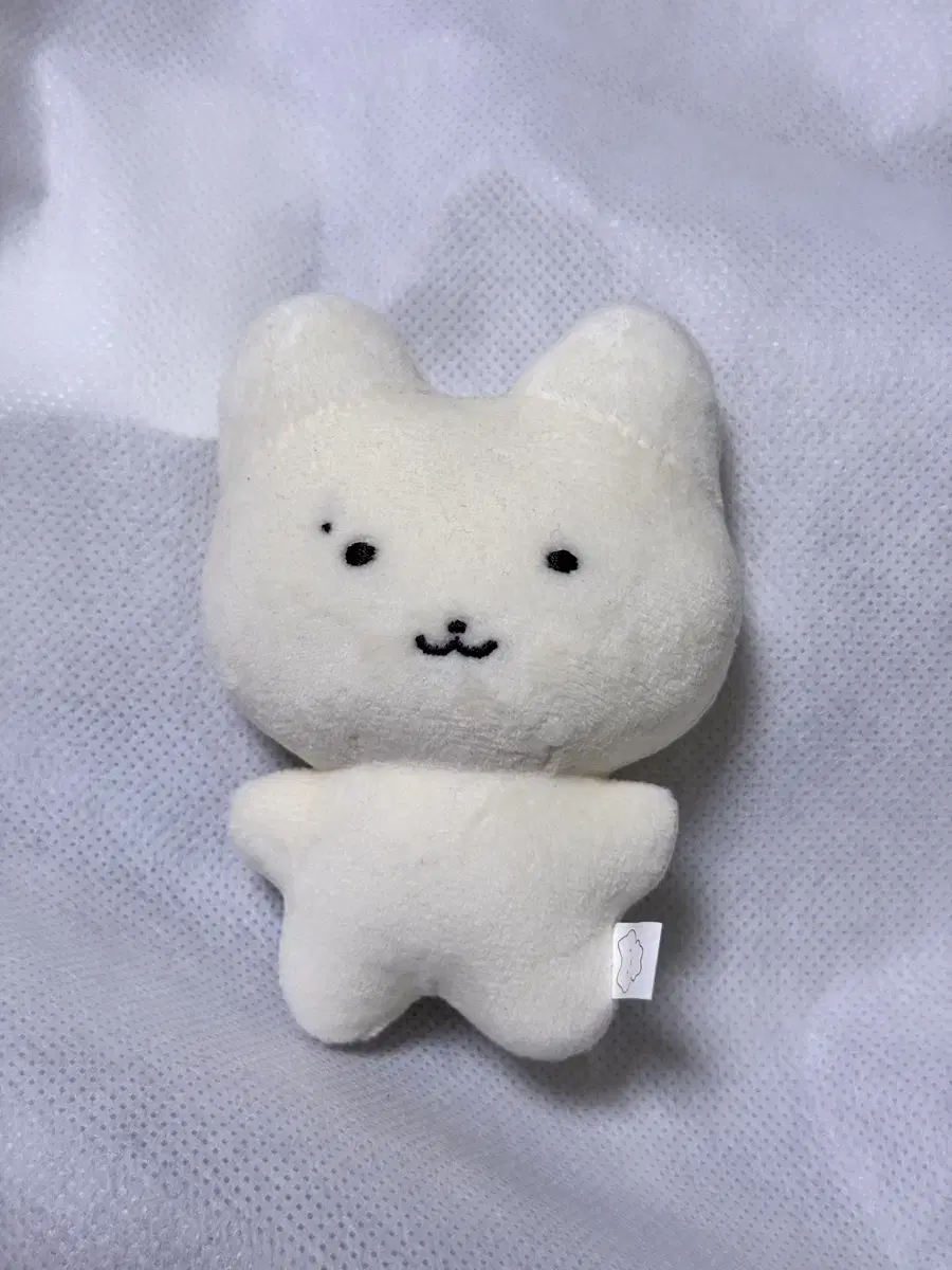 더보이즈 주연 인형 쮸부냥 10cm