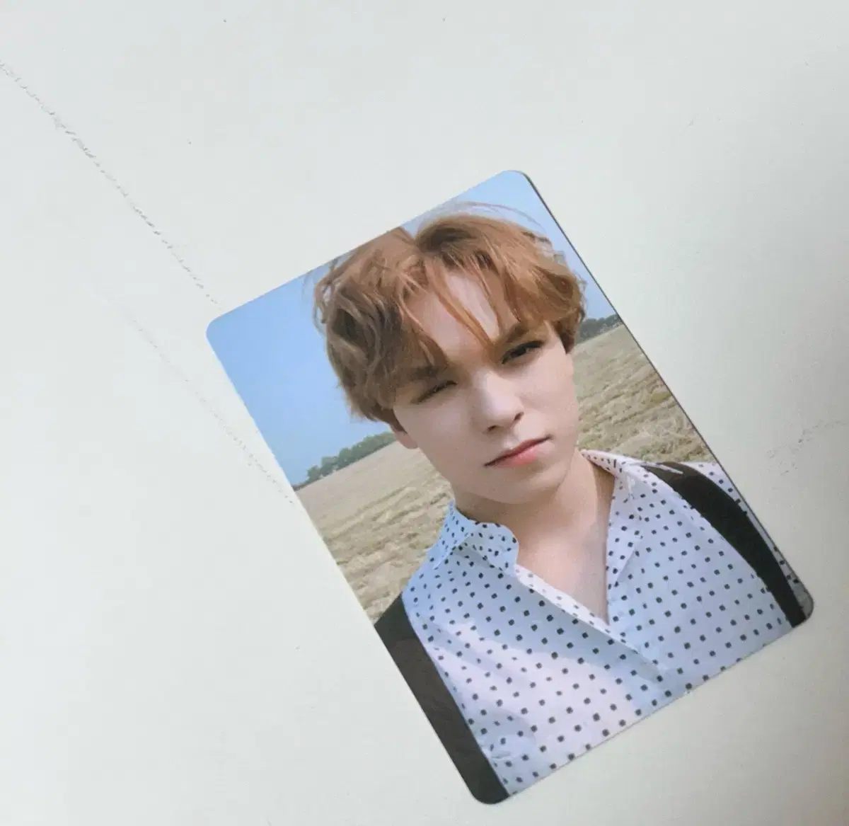 세븐틴 버논 포카