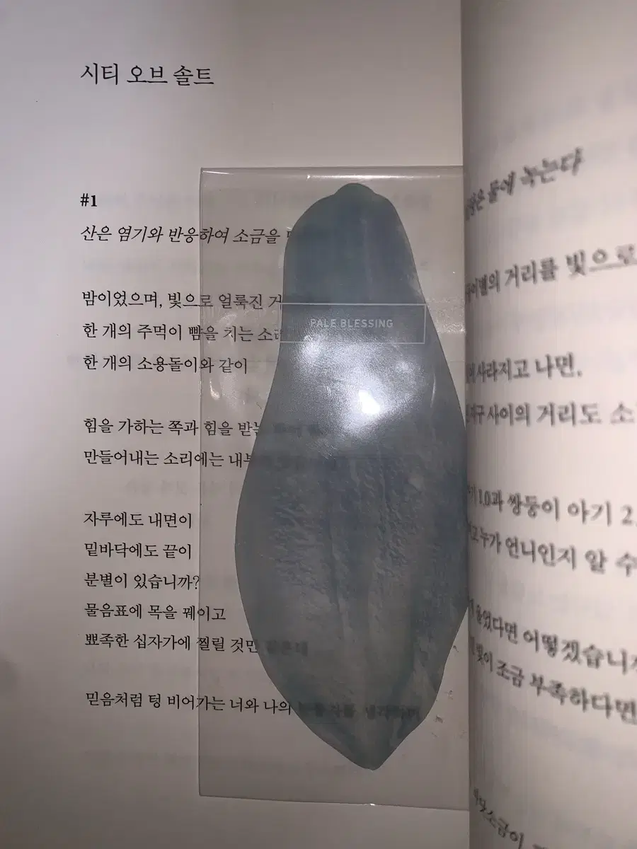 이옥토 옥토 목련 책갈피