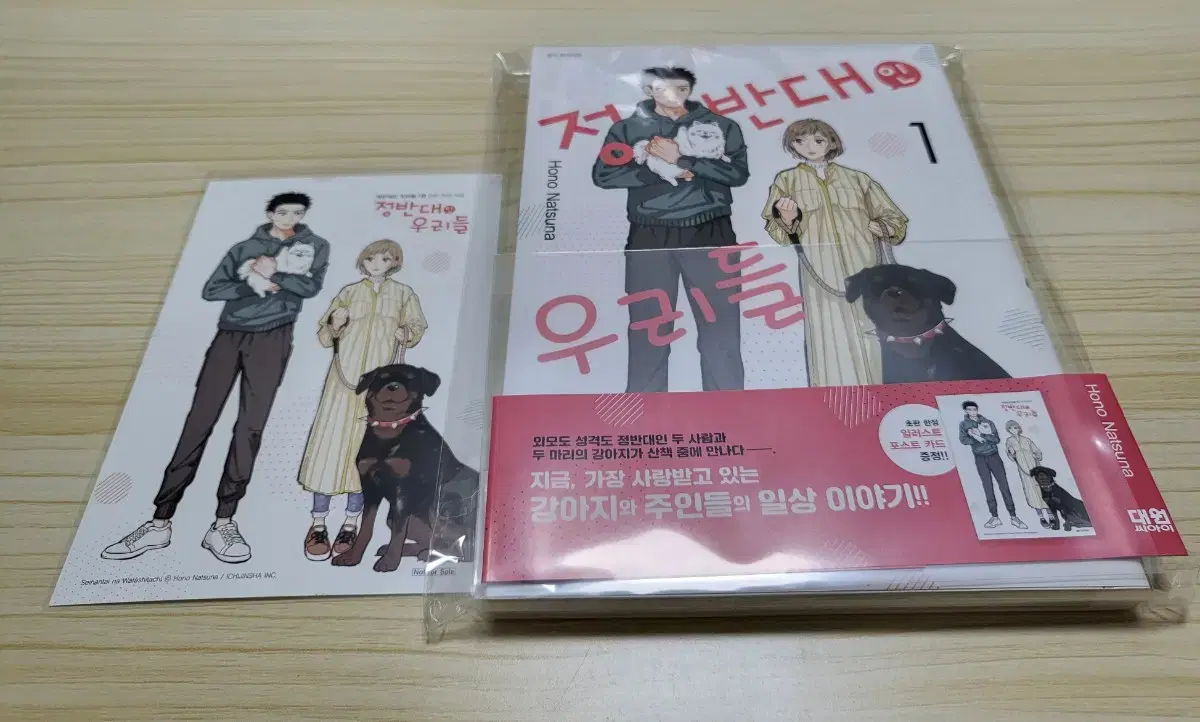 순정만화 여러개 올초판(권당 4,200원)