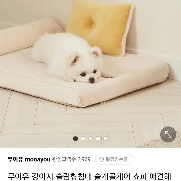 무아유 쿨쿨침대 슬림형침대 슬개골케어 디스크침대 애견방석 판매해요(서비스