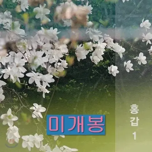 홍갑 - 1집 / 홍갑 1 (미개봉, CD)