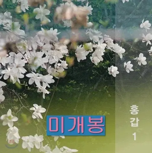 홍갑 - 1집 / 홍갑 1 (미개봉, CD)