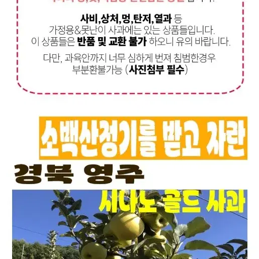 가정용 시나노골드 판매 2kg (6-10입)