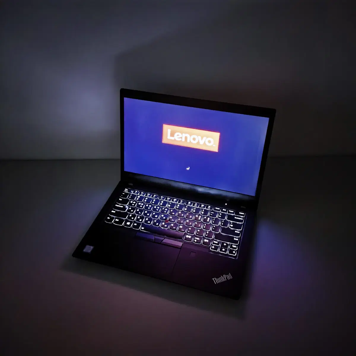 터치스크린 14인치 Lenovo ThinkPad T490 i7-8665U