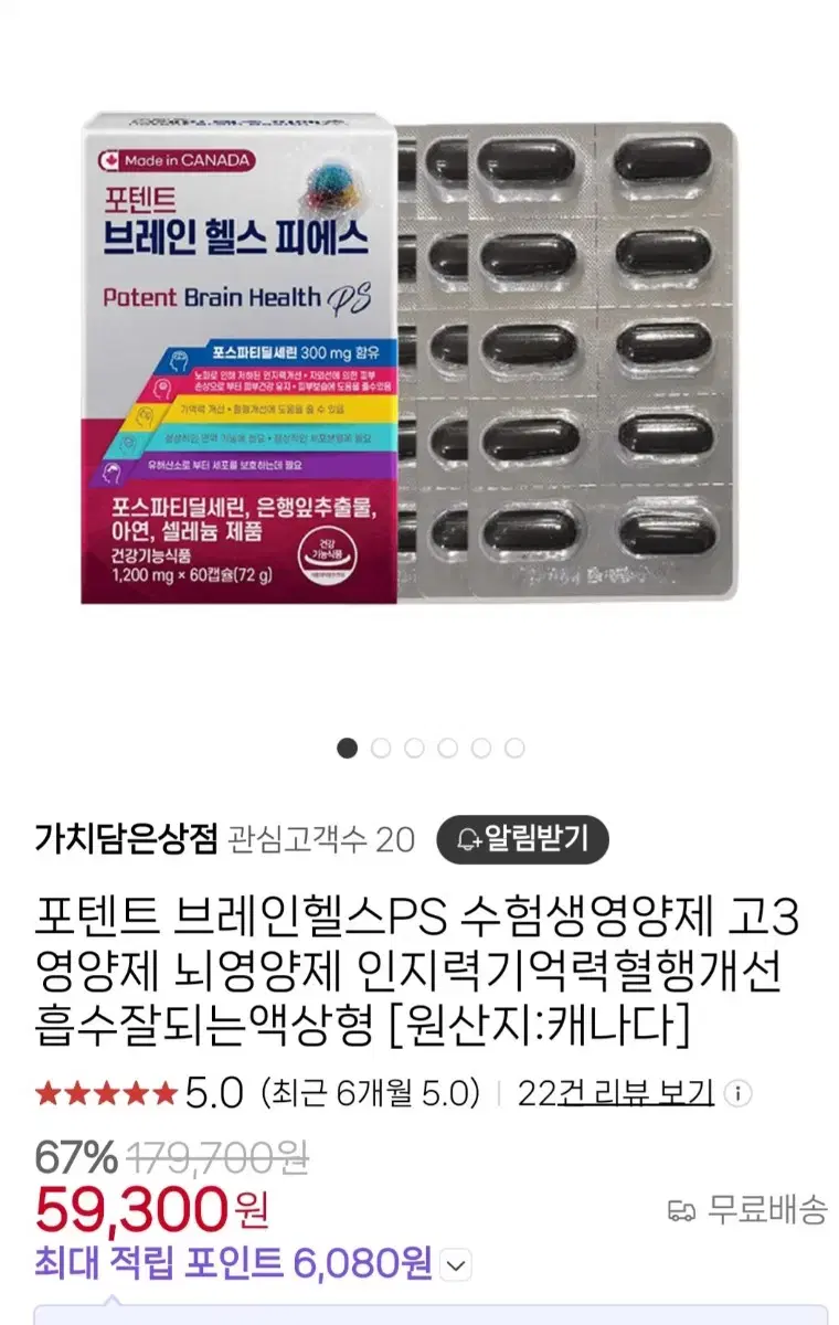 뇌영양제