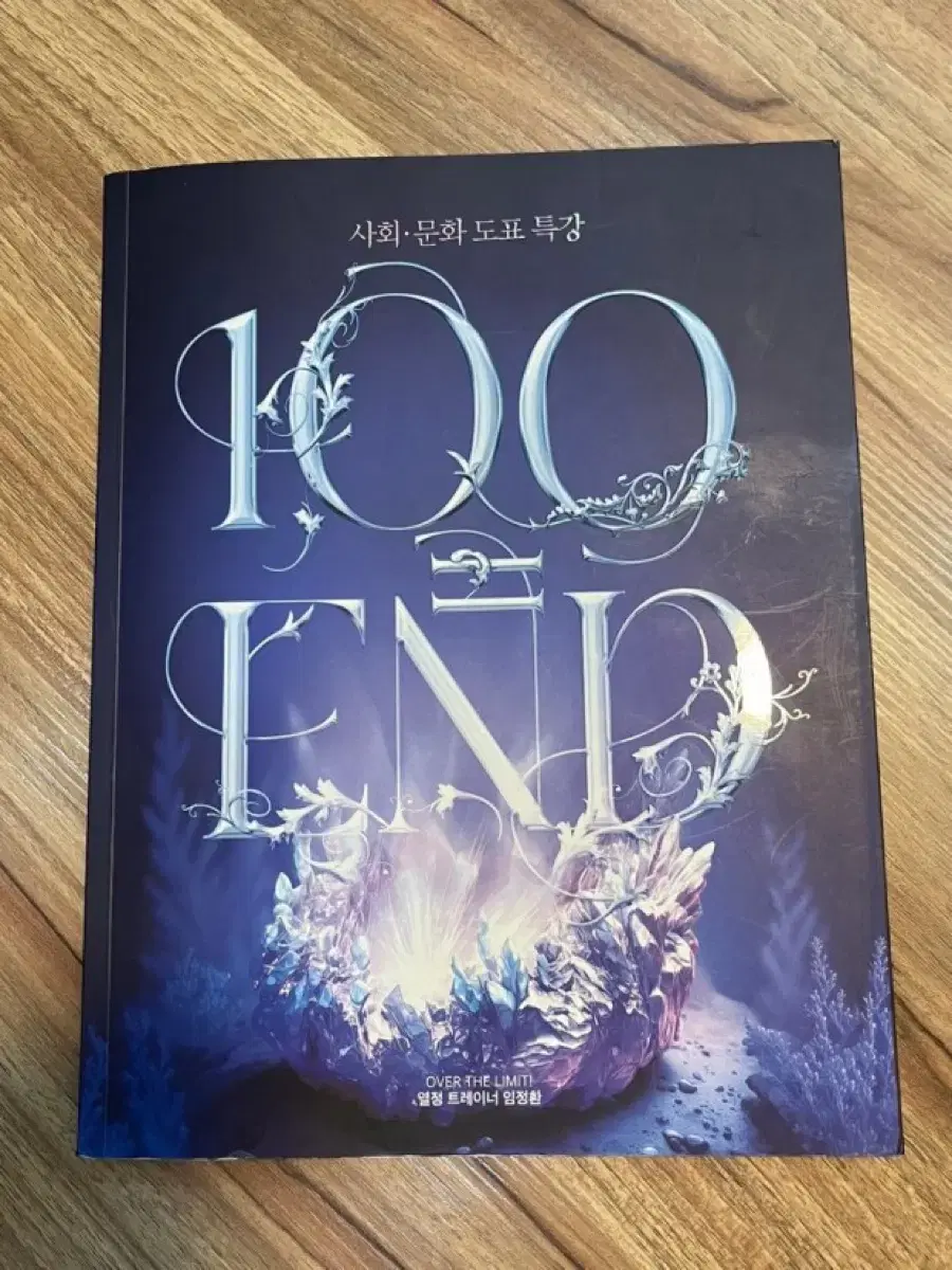 임정환 사회문화 도표특강 100=END