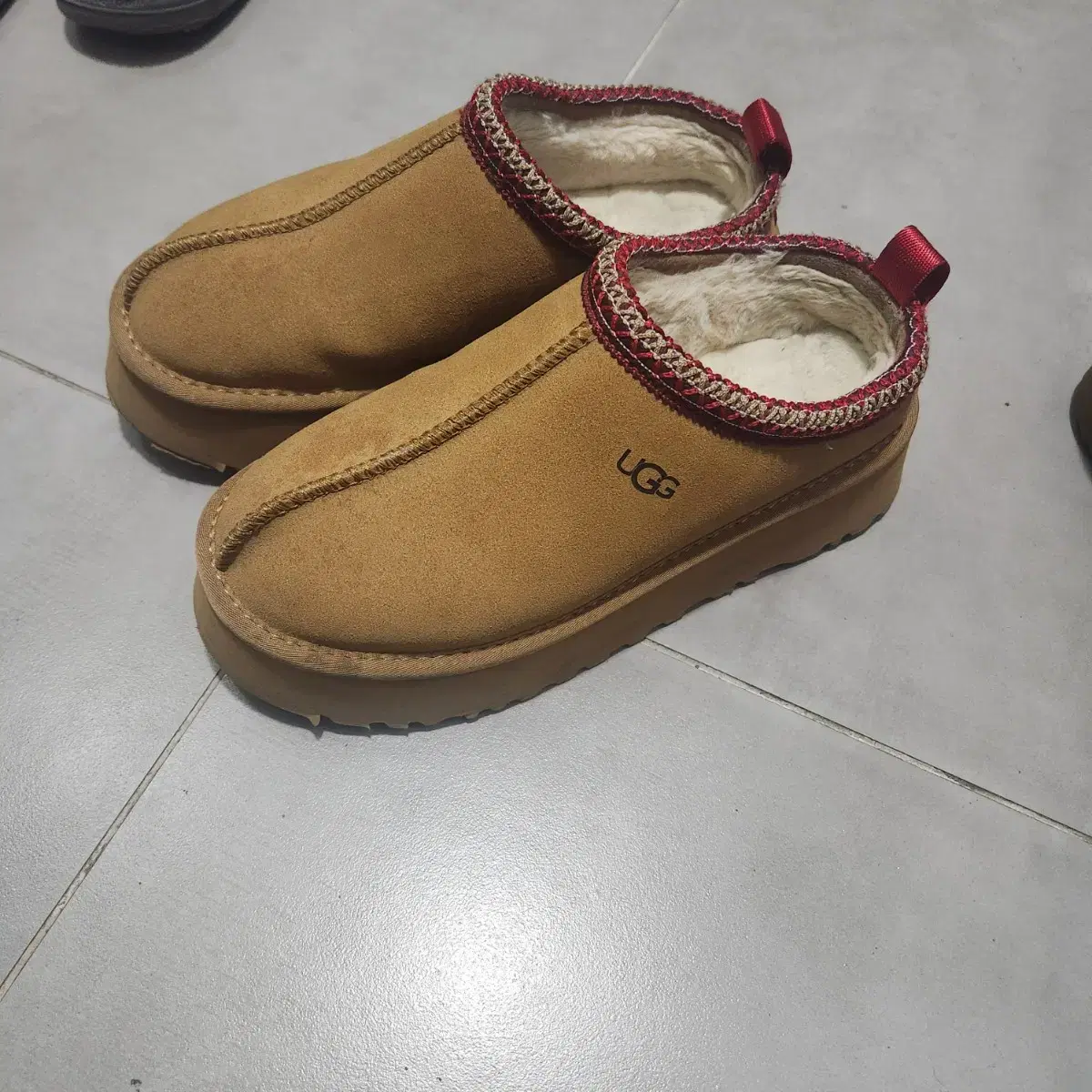 어그 타즈 ugg 8(245~250)사이즈