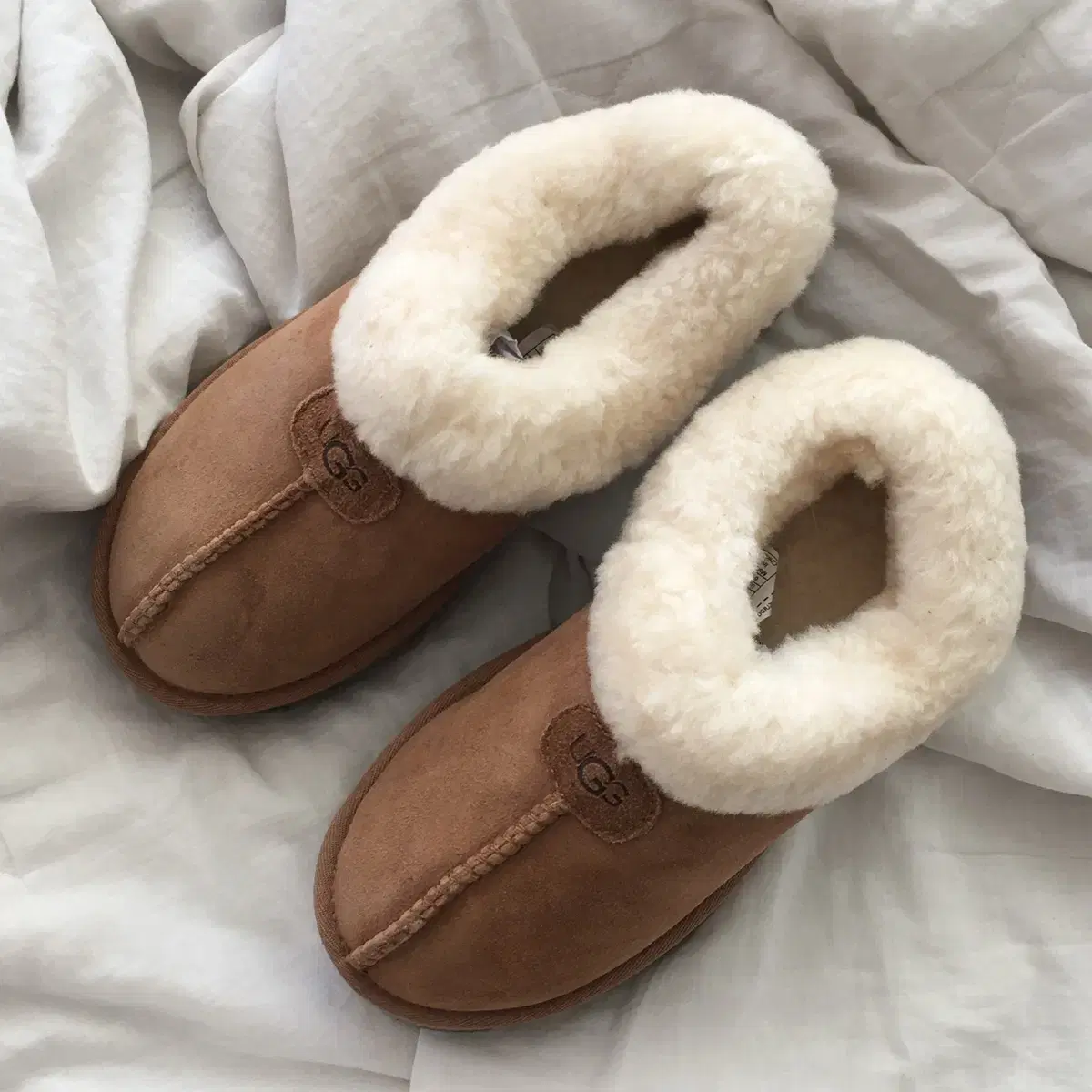 UGG Tazzette Slipper Chestnut 230mm