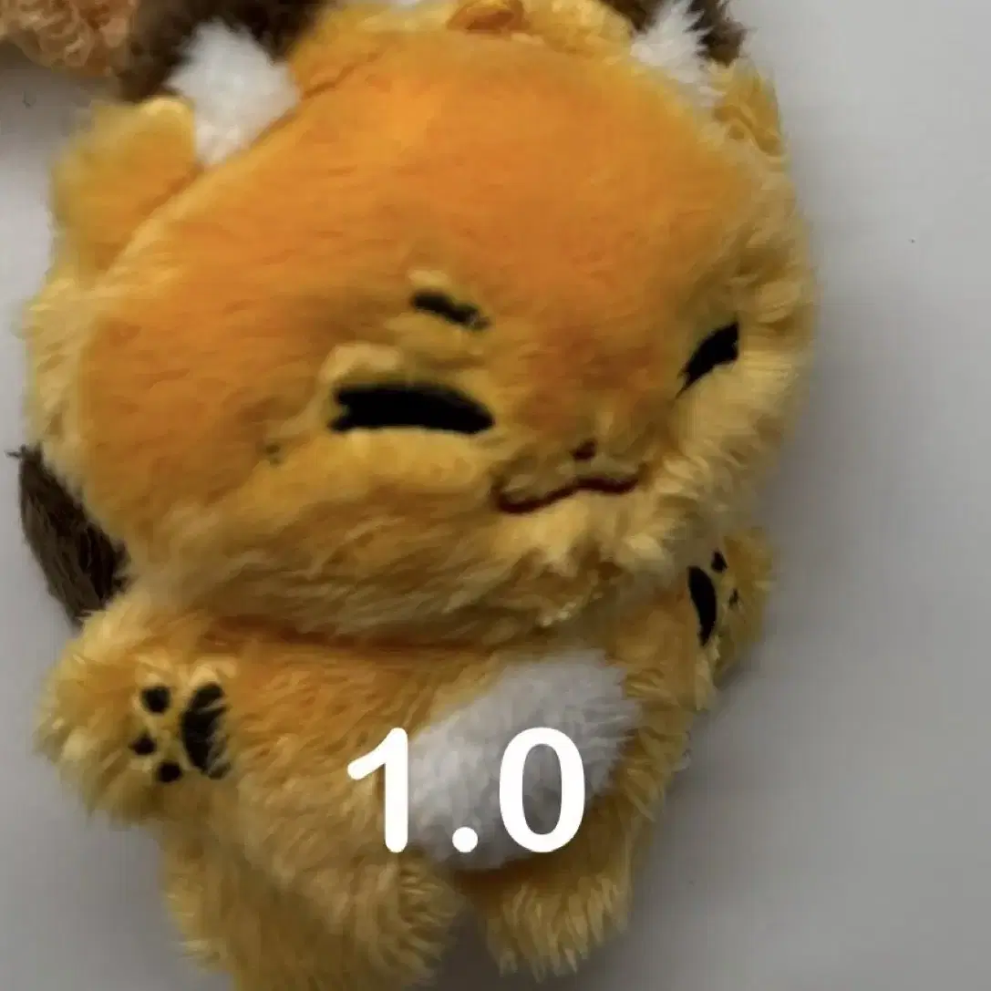 석매튜 10cm 인형 여우튜 양도