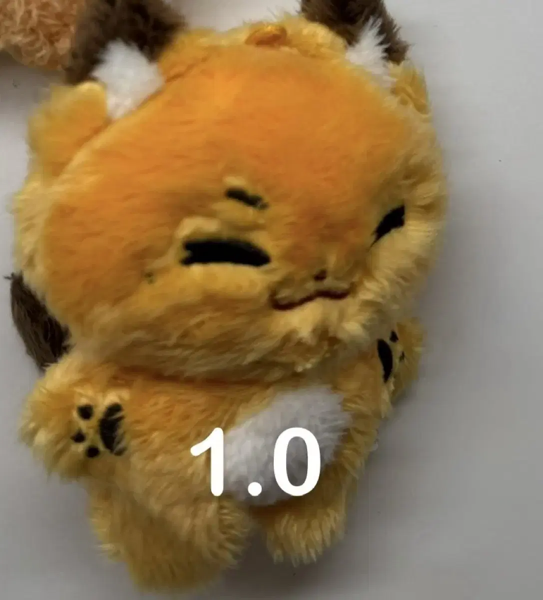 석매튜 10cm 인형 여우튜 양도