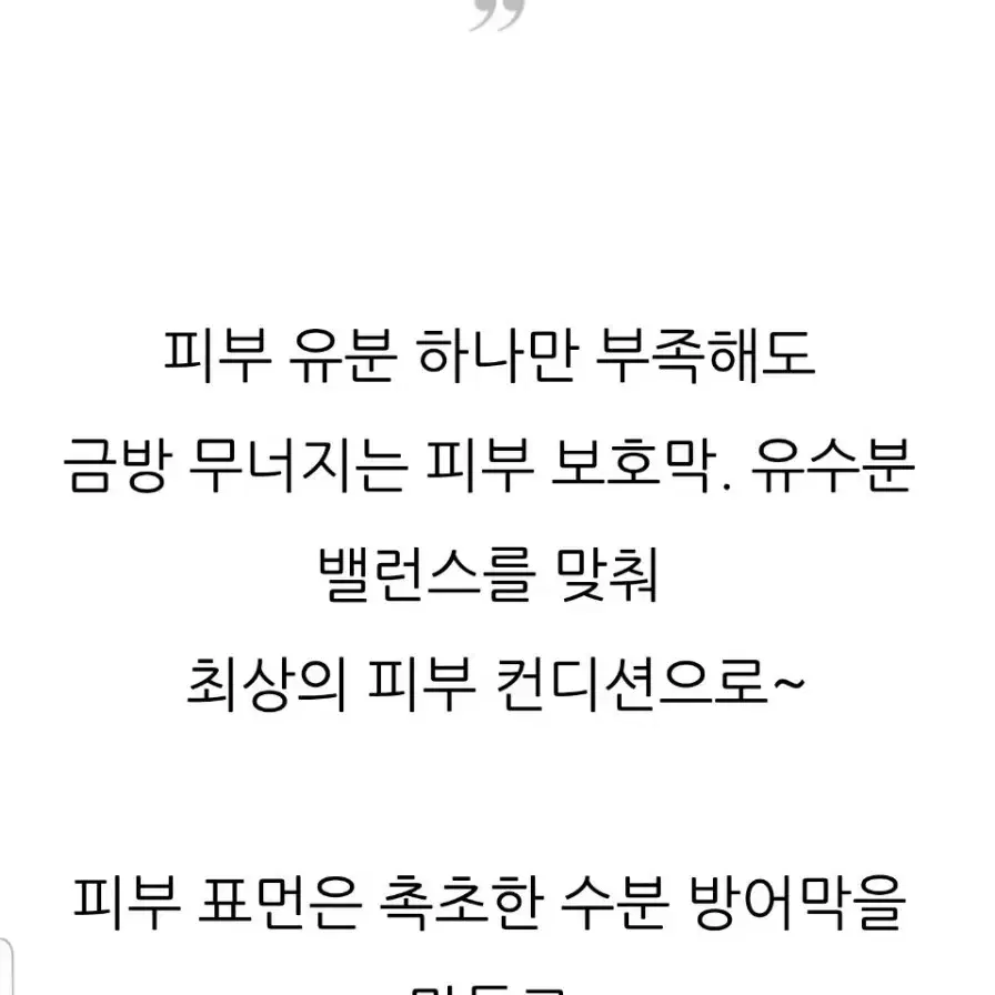 르네셀 스킨쉴드 리뉴얼 크림