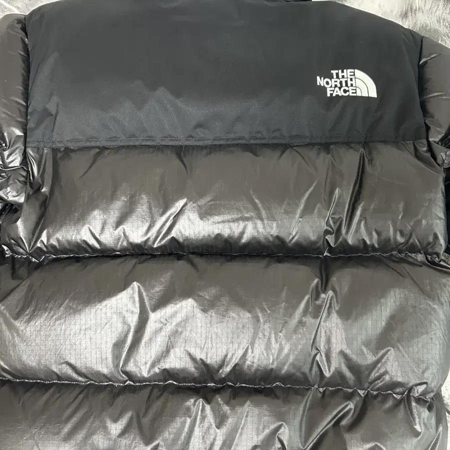 눕시 The North Face White Label Novelty Nu