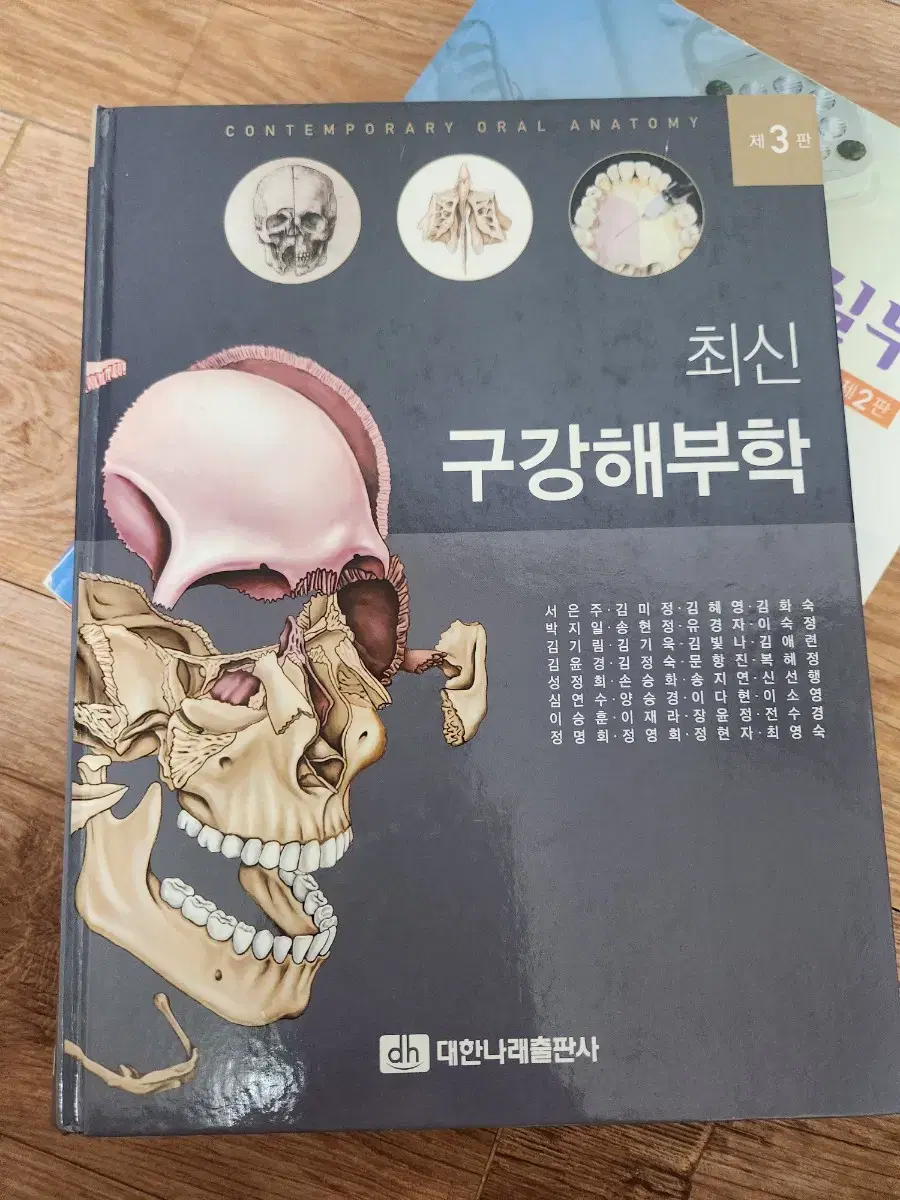 최신 구강해부학