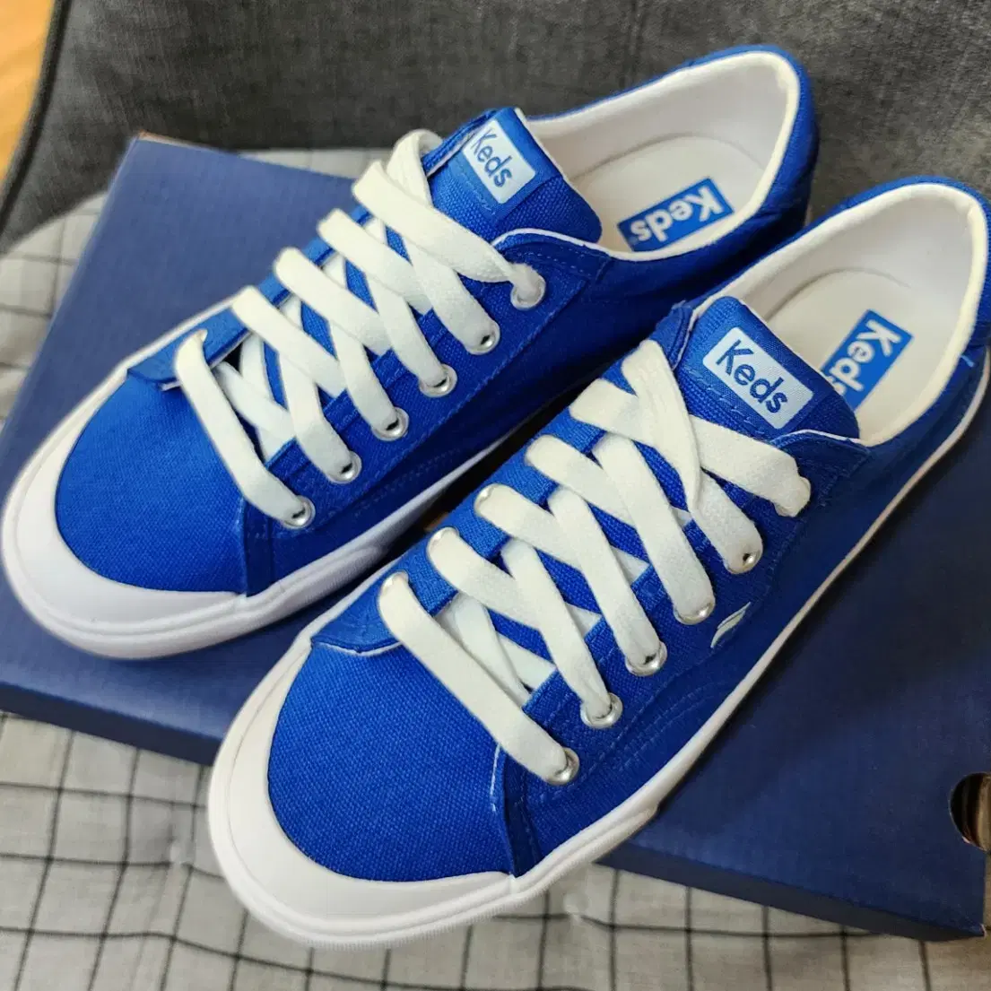 Keds 스니커즈 (블랙/블루)