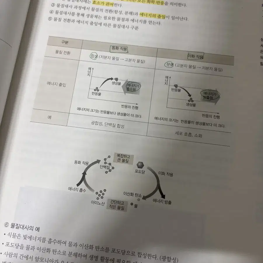 2024 철두철미