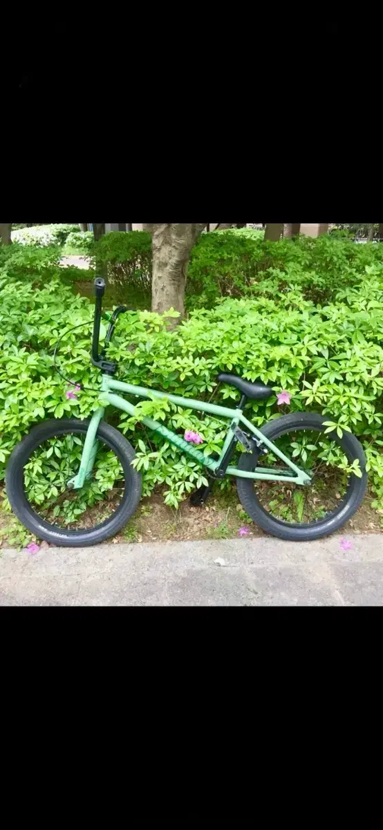 선데이 bmx