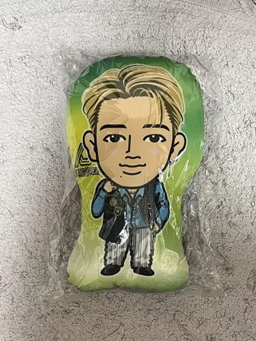 한다 타츠오미 쿠션