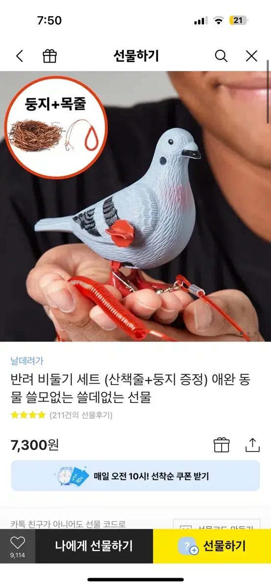 애완 비둘기 장난감