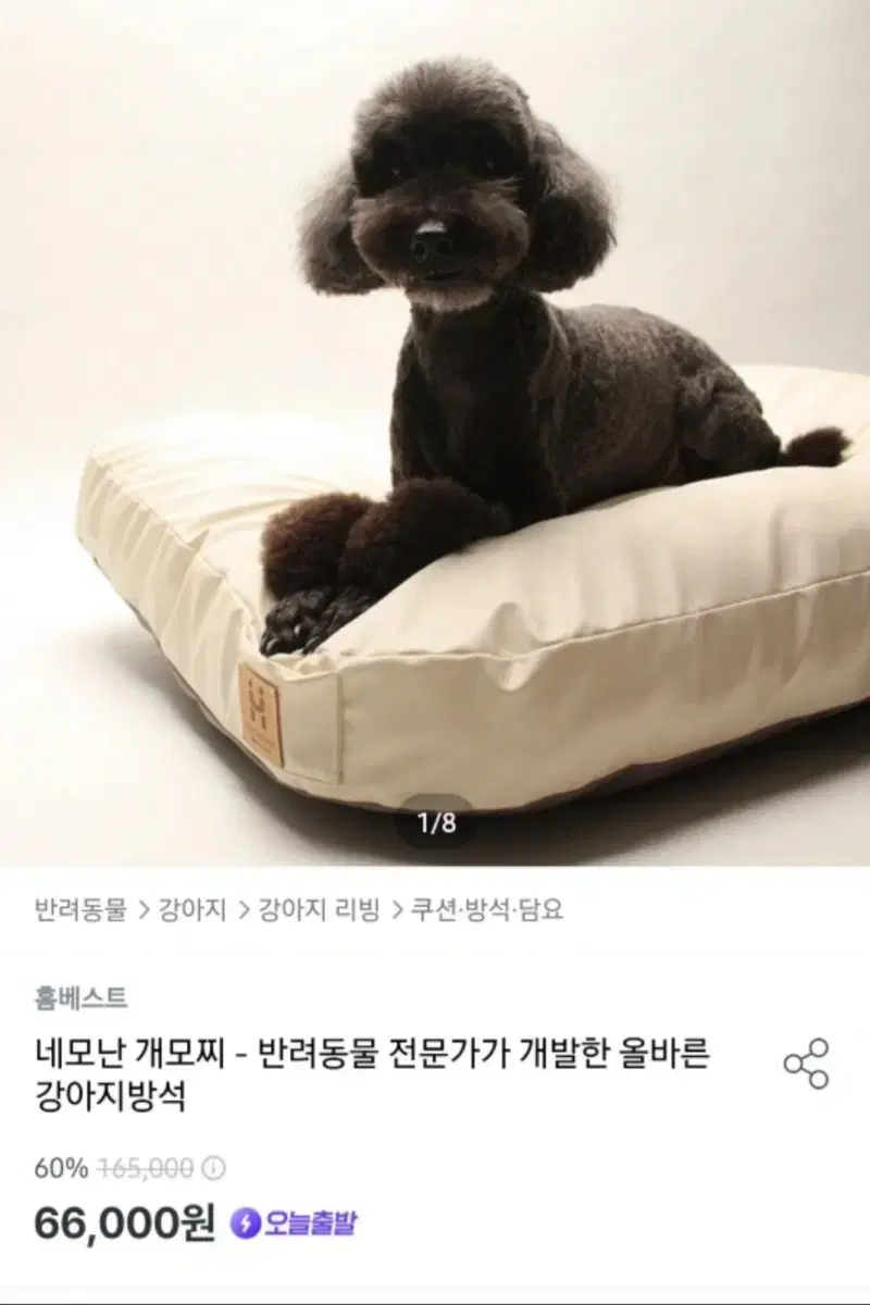 네모난 개모찌 강아지/고양이 방석(새상품)