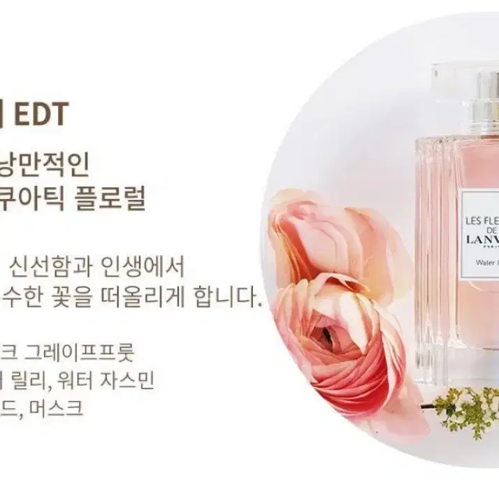 랑방 향수 레 플레르 드 랑방 워터 릴리 EDT 50ML