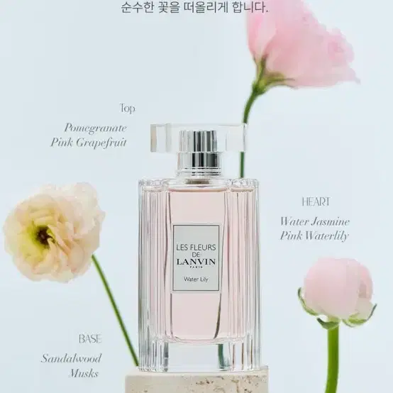 랑방 향수 레 플레르 드 랑방 워터 릴리 EDT 50ML