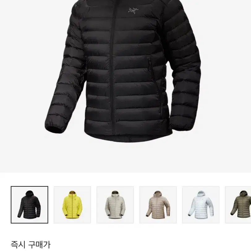 24fw 아크테릭스 세륨 후디 블랙 xl 새것