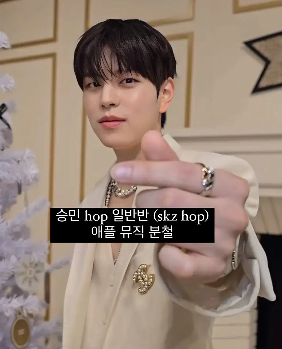 스키즈 승민 합 일반반(skz hop)애플뮤직 분철