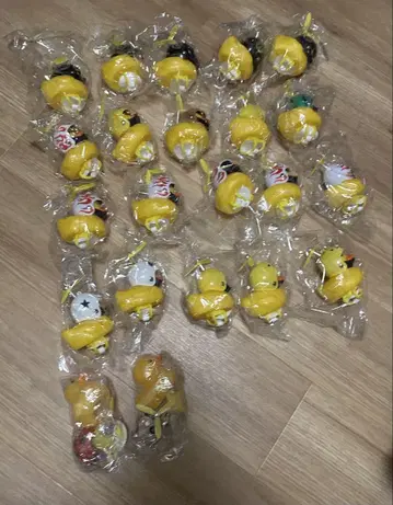 오리 대장 22마리의 깃털