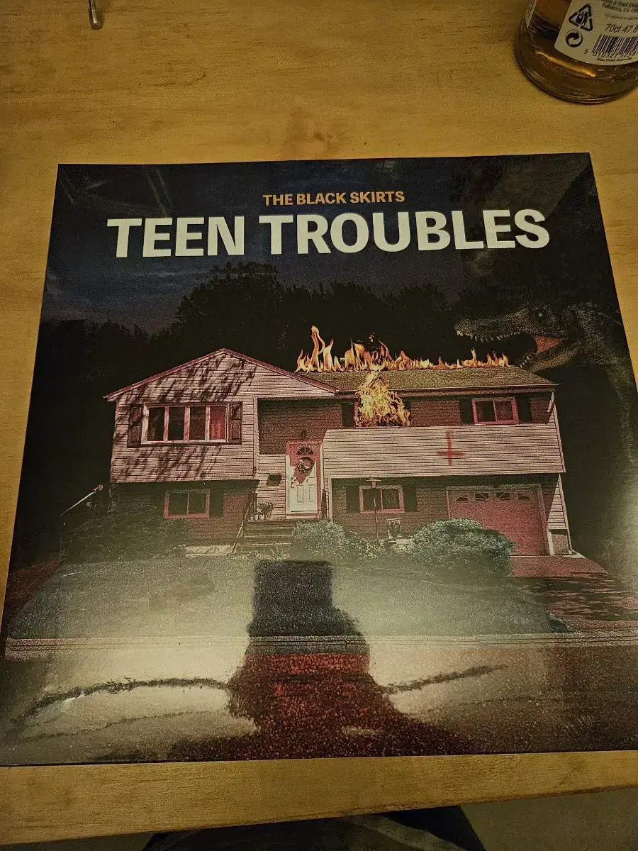 검정치마 lp 미개봉 TEEN TROUBLES 새상품