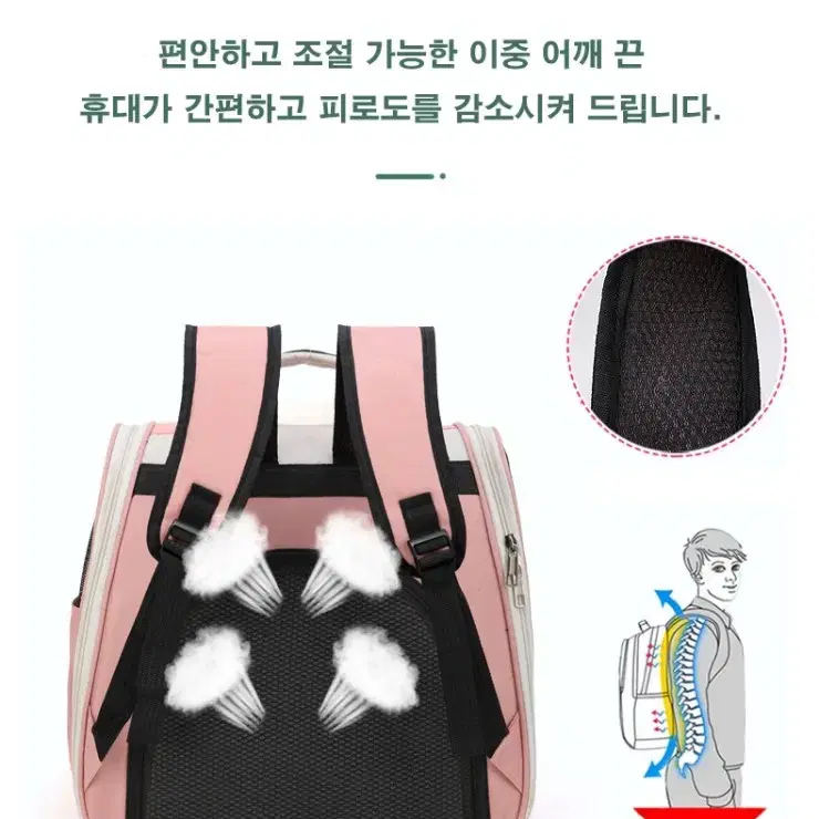 애완동물 휴대용 투명 백팩