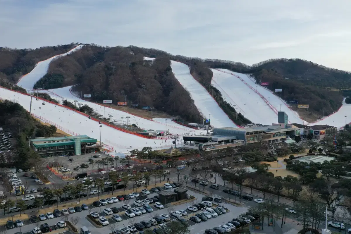 12월 24일 비발디파크 소노벨 A스위트 스탠다드 침대/취사