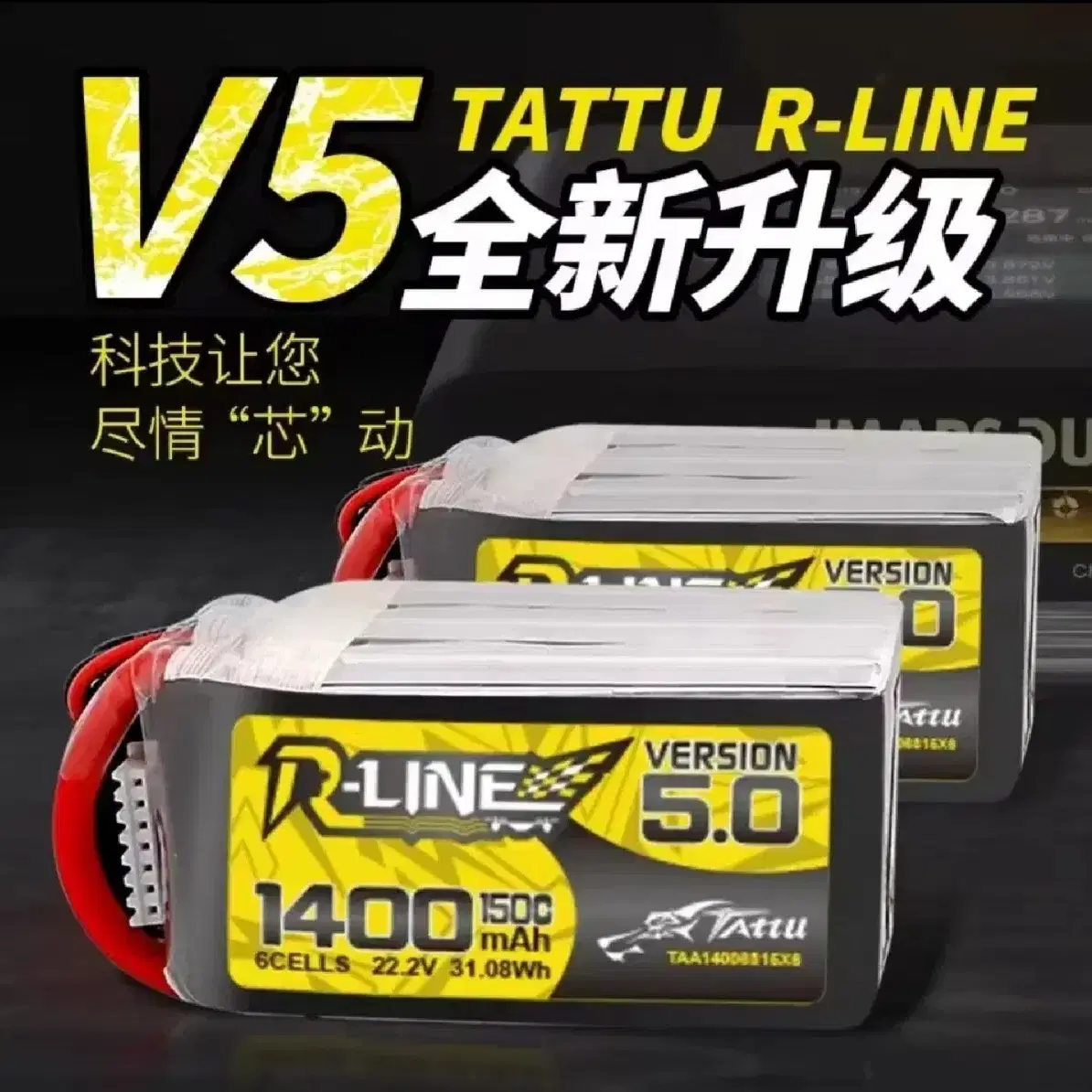 Tattu-R-Line 5.0 V5 1400mAh 150C 6S 3개