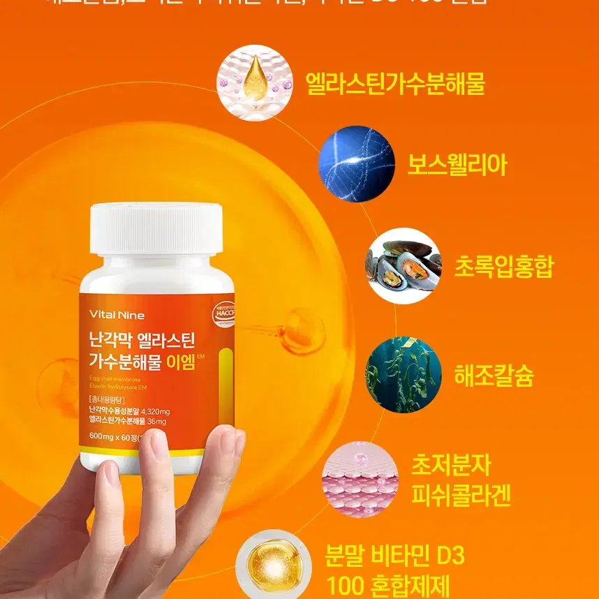 난각막 엘라스틴 가수분해물 제2의 콘드로이친 1통 600mg * 60정