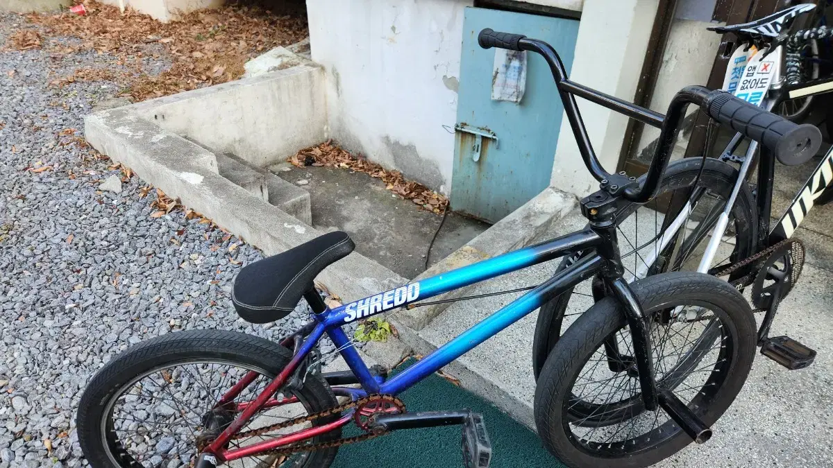 쉴리드? 듣보 x bmx