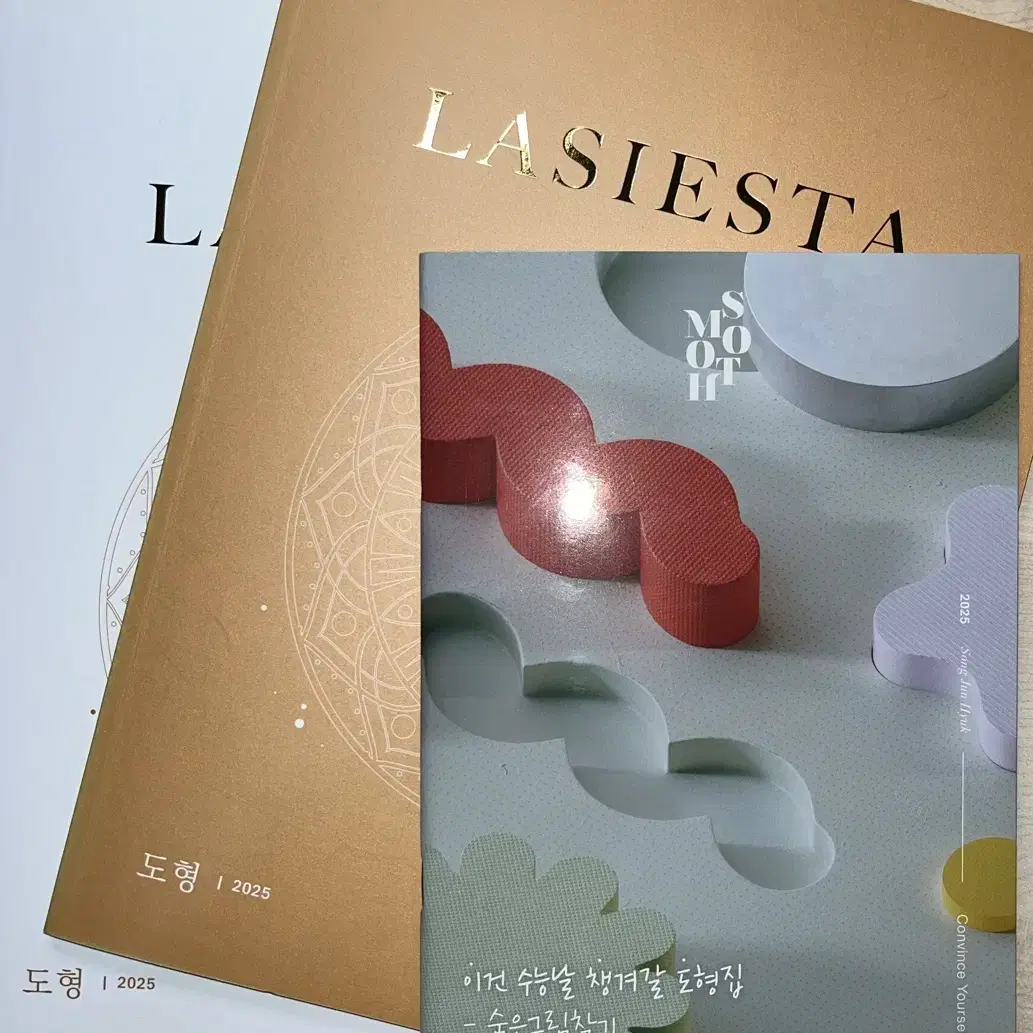 시대인재 송준혁 T 라시에스타 lasiesta 공통, 미적분, 도형