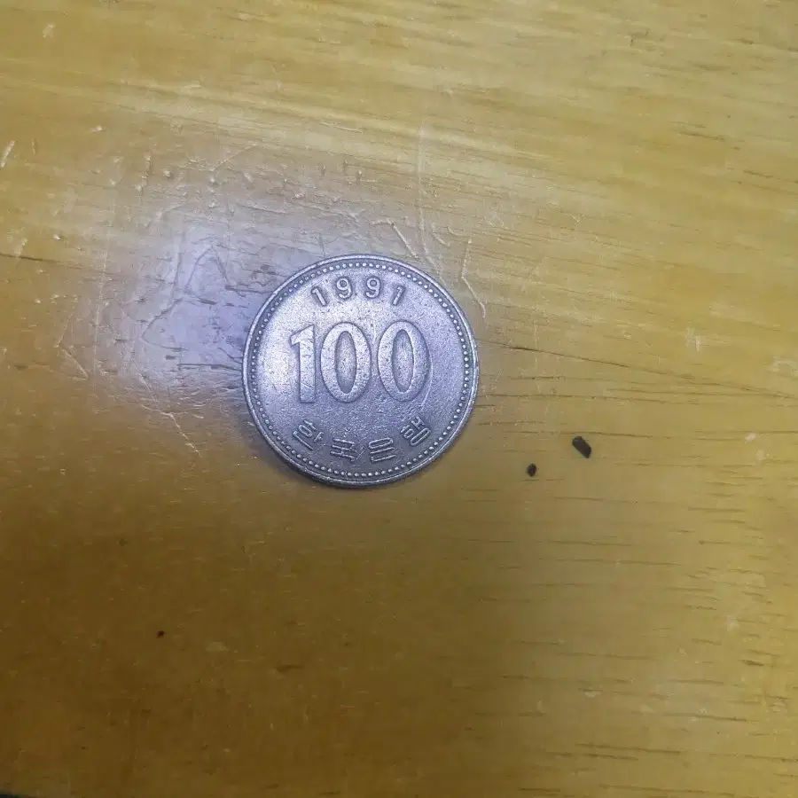 1991년 100원짜리 희귀동전