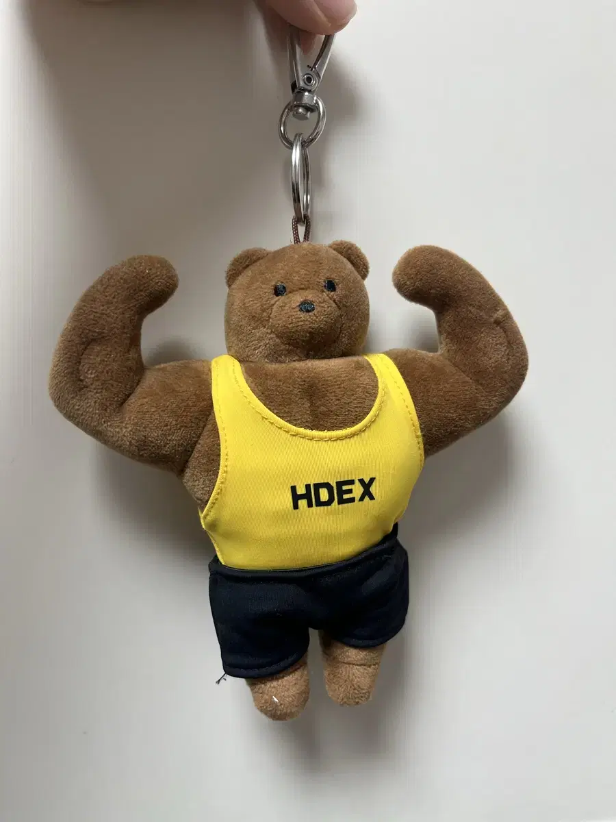 Hdex 마동곰 키링 양도