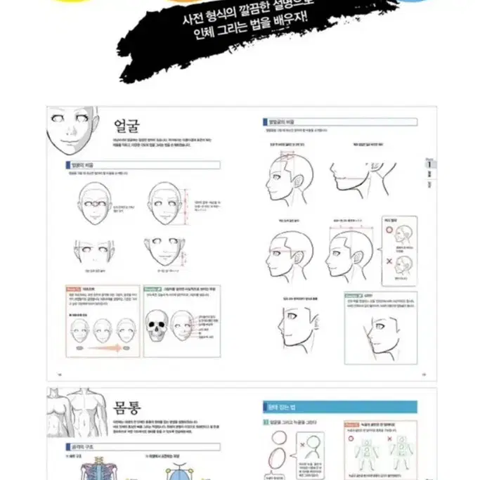 그림서적 세트 판매 (인체그리기 사전 등)