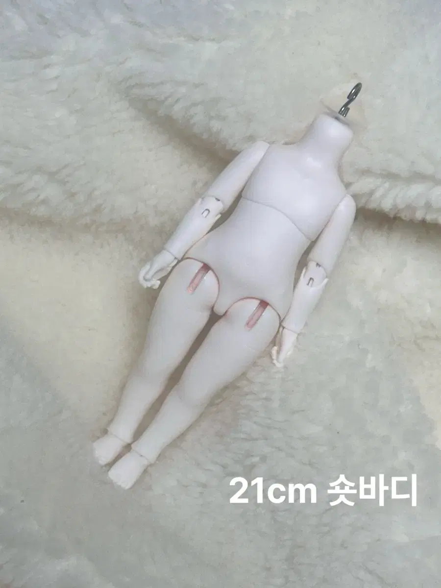 치카비 (21cm) 미백 바디+주먹손 숏바디 숏usd