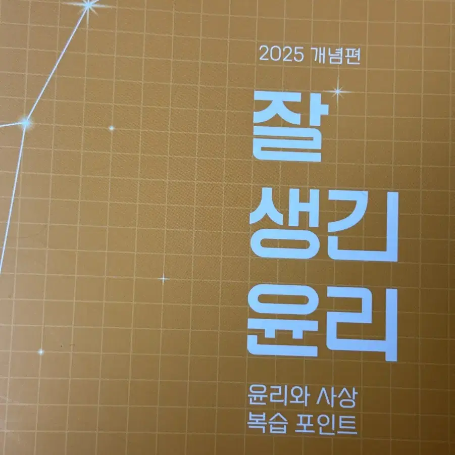 잘생긴 윤리 윤리와 사상 김종익 2025