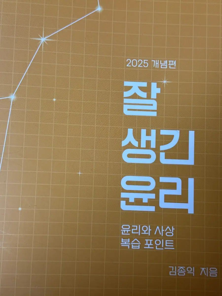 잘생긴 윤리 윤리와 사상 김종익 2025