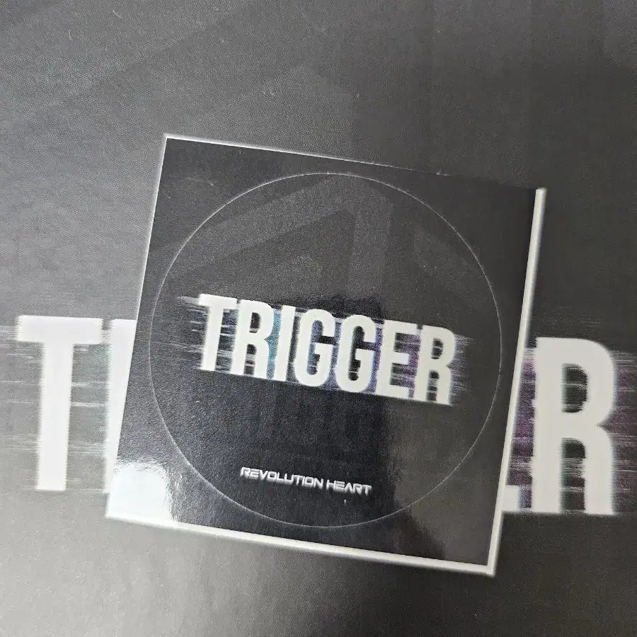 <원가이하>[레볼루션하트] TRIGGER 포토북