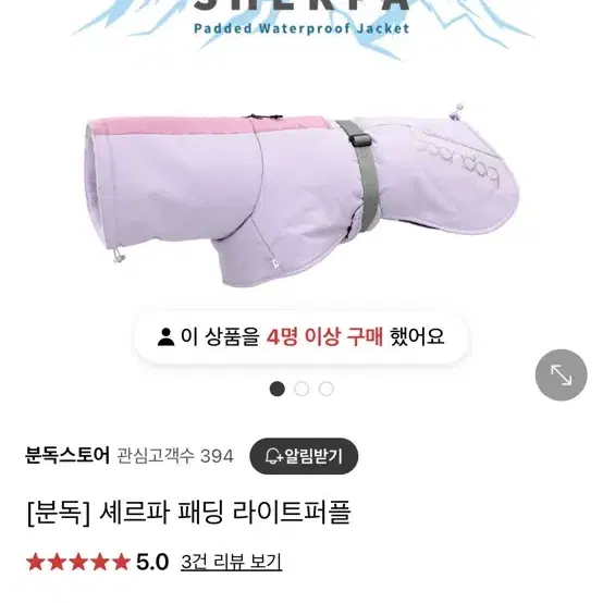 분독 강아지 겨울 발열패딩 XL