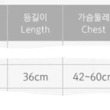 분독 강아지 겨울 발열패딩 XL