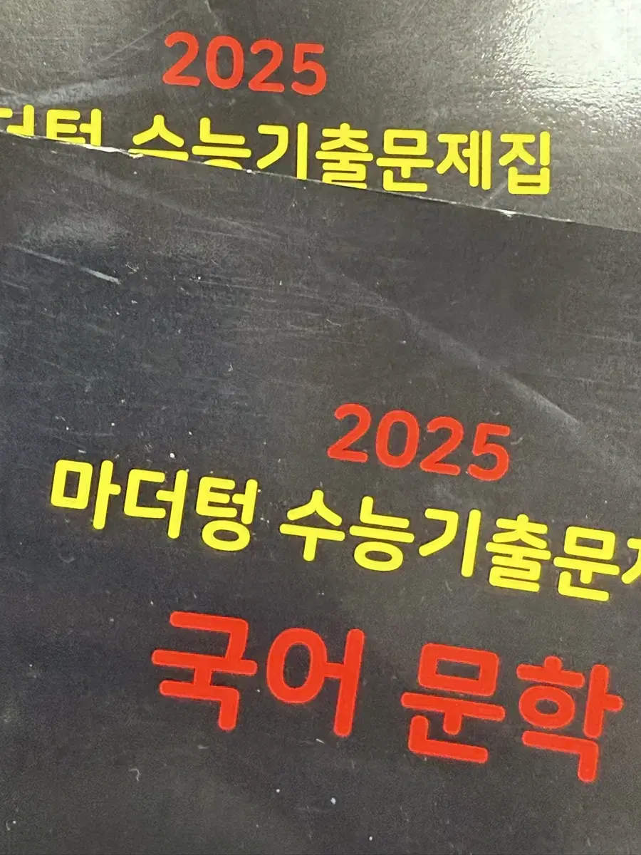 마더텅 2025 국어 문학